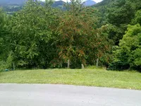 Недвижимость Estate, Ravne Farm, Pristava.: 10