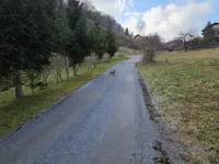 Недвижимость Усадьба, ферма Римские Топлице.: 3