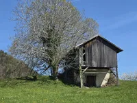 Недвижимость Estate, Sochka Farm.: 18