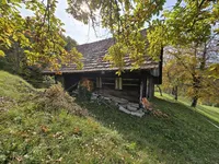 Недвижимость Manor, Lopatsa Farm: 3