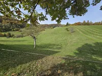 Недвижимость Manor, Lopatsa Farm: 11