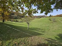 Недвижимость Manor, Lopatsa Farm: 13