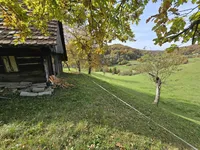 Недвижимость Manor, Lopatsa Farm: 14