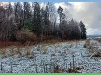 Недвижимость Имение, ферма Накло: 14