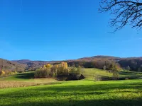Недвижимость Estate, farm New Place, village end, near Goryantsy.: 1
