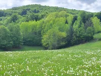 Недвижимость Estate, farm New Place, village end, near Goryantsy.: 8