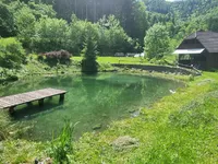 Недвижимость Podkray Estate near Mezhitsa, Mezhitsa: 2