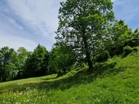 Недвижимость Podkray Estate near Mezhitsa, Mezhitsa: 13