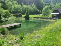 Недвижимость Podkray Estate near Mezhitsa, Mezhitsa: 23