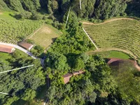 Недвижимость Pohorje Estate, Farm.: 6