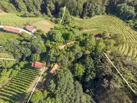 Недвижимость Pohorje Estate, Farm.: 7