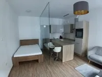 Недвижимость Studio apartment on Frankopanska: 3
