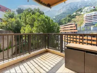 Недвижимость Apartment Monaco, La Rousse: 6