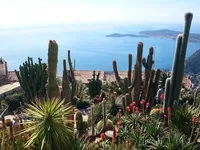 Недвижимость Apartment Monaco, Jardin Exotique: 1