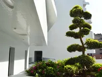 Недвижимость Apartment Monaco, Condamine: 7