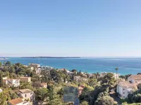 Недвижимость Villa Cannes: 3
