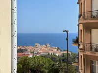 Недвижимость Apartment Monaco, Jardin Exotique: 15