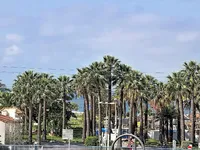 Недвижимость Villa Pointe Croisette: 1