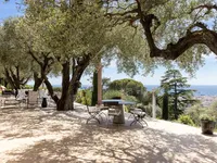 Недвижимость Villa Cannes: 11