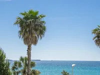 Недвижимость Villa Cannes: 9