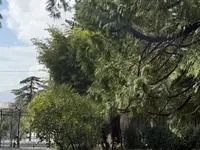 Недвижимость Apartment California: 11