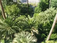 Недвижимость Villa Cannes: 8