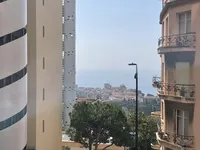 Недвижимость Apartment Monaco, Jardin Exotique: 1