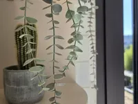Недвижимость Villa Petit Juas: 18