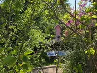 Недвижимость Villa Petit Juas: 21
