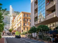 Недвижимость Apartment Monaco, Condamine: 20