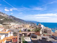 Недвижимость Apartment Monaco, Jardin Exotique: 11