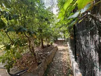 Недвижимость Villa Suquet Cannes: 5