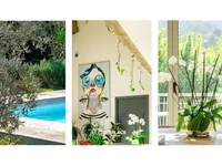 Недвижимость Villa Vallauris: 14