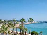 Недвижимость Villa Cannes Centre-ville: 5