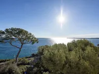 Недвижимость Villa Cannes Californie: 3