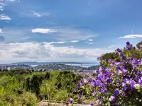 Недвижимость Villa Cannes: 22