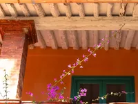 Недвижимость Villa Croix des Gardes: 5