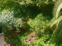 Недвижимость Villa Cannes: 19