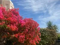 Недвижимость Villa Cannes: 22