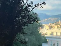Недвижимость Villa Cannes Californie: 1
