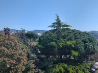 Недвижимость Villa Cannes Croix des Gardes: 2