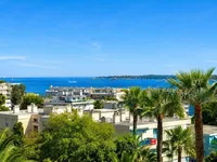 Недвижимость Villa Cannes: 3