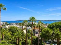Недвижимость Villa Cannes: 12