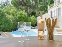 Недвижимость Villa Mougins: 2