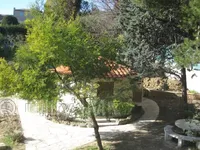 Недвижимость Villa Cannes: 9