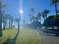 Недвижимость Villa Pointe Croisette: 9