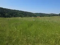 Недвижимость Усадьба, Новое фермерское строение.: 7