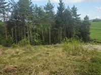 Недвижимость Земельный участок, Малый Липоглав: 3