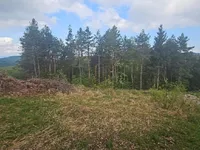 Недвижимость Земельный участок, Малый Липоглав: 6