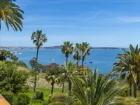 Недвижимость Villa Cannes: 12